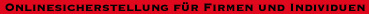 Swiss Safe Storage logo text de