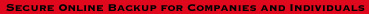 Swiss Safe Storage logo text en