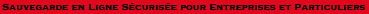 Swiss Safe Storage logo text fr