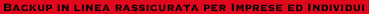 Swiss Safe Storage logo text it